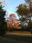 Fall in Eastern Kansas - Shawnee, in Johnson County