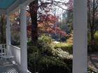 Street View from Front Porch of House in Takoma Park historic District