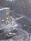 During the snowstorm in Harvard Square.