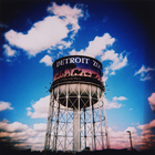 The Detroit Zoo (its in Royal Oak...)
      
      photo by Ercy
