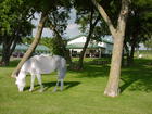 The Carlos Creek Winery