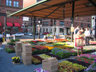 The Farmers market in the Spring, located in the lowertown neighborhood in downtown St. Paul.