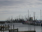 Pass Christian Harbor, New Year's Eve
      60 degree weather.