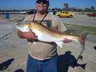 October, 2006--Redfish, Pass Christian Harbor. Courtesy of Gary Bratton.