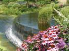 Powell Gardens, just outside of Kansas City, Missouri always has fabulous botanical displays