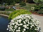 Powell Gardens