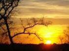 Amazing Sunsets in Kansas City