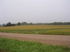 The crops go on for miles and miles...