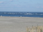 Views from the inlet.
