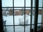 Snowy Albuquerque