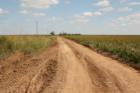Roosevelt County, New Mexico Farmland. Rogers, NM. "The Walker Farm"