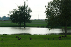 Frank Liske Park, the flagship public park in Cabarrus County.  Located on the line between Concord NC and Harrisburg NC.