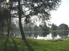 The pond at the Orange Township Park