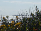 By the Bay at Jamestown Rhode Island