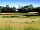 This is a great shot from one of the numerous golf courses in Charleston, SC.
