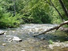 Creek at Gatlinburg, TN.