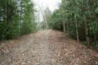 White Oak Horse Trail Big South Fork