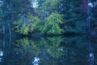 Lake at Cumberland Mountain State Park, Crossville, TN