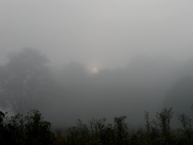 Pictures of Knoxville Pictures of Knoxville