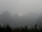 Sunrise through the early morning mist in nearby Cades Cove in the Great Smoky Mountains National Park