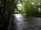 Great Smokies National Park