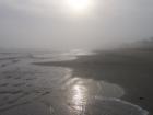 Foggy winter day on Galveston Island