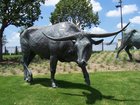 Shops at Legacy- Steer Sculpture