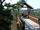 Arbor Hills Nature Preserve-West plano