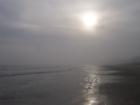 Foggy winter day on the beach at Galveston Island