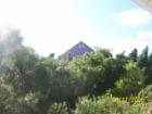 Galveston - Moody Gardens