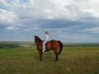 Horse back riding on a ranch near Memphis