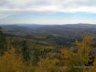A view of the forest behind Cedar City.