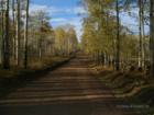 Mountain road.