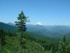 Taken from a trail high up in the Naches Forest
      