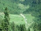 A valley in the Mt. Rainier National Forest