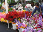 The Vancouver Farmer's Market