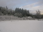 Early Winter Snow in Castle Rock, WA.  November 2006.