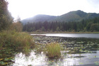 Silver Lake, Washington