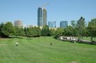View from Bellevue's Downtown Park