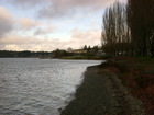 Bremerton - Evening at Lions Field