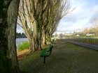 Bremerton Lions Field walking path