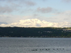 The Olympics Mountains from across Dyes Inlet
