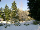 First snow of the year in Silverdale 2006