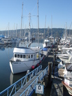 Boats at Poulsbo Harbor - Little Norway