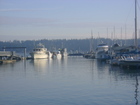 Brownsville Marina - Ready for the new day