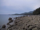 Harvesting oysters and clams along the Hood Canal.