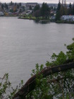 Ar116834525160725_l