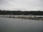 Seabeck Marina - It's seen better days, but a complete new marina is coming!