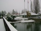 Silverdale Waterfront Park in the snow.