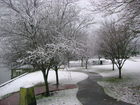 Silverdale Waterfront Park - Snowfall 2006